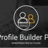 Profilbuilder Pro