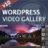 DZS Video Gallery - Video Gallery Wordpress Plugin /w YouTube, Vimeo, Facebook pages